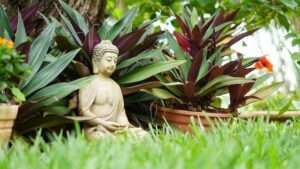 meditation-3-buddha