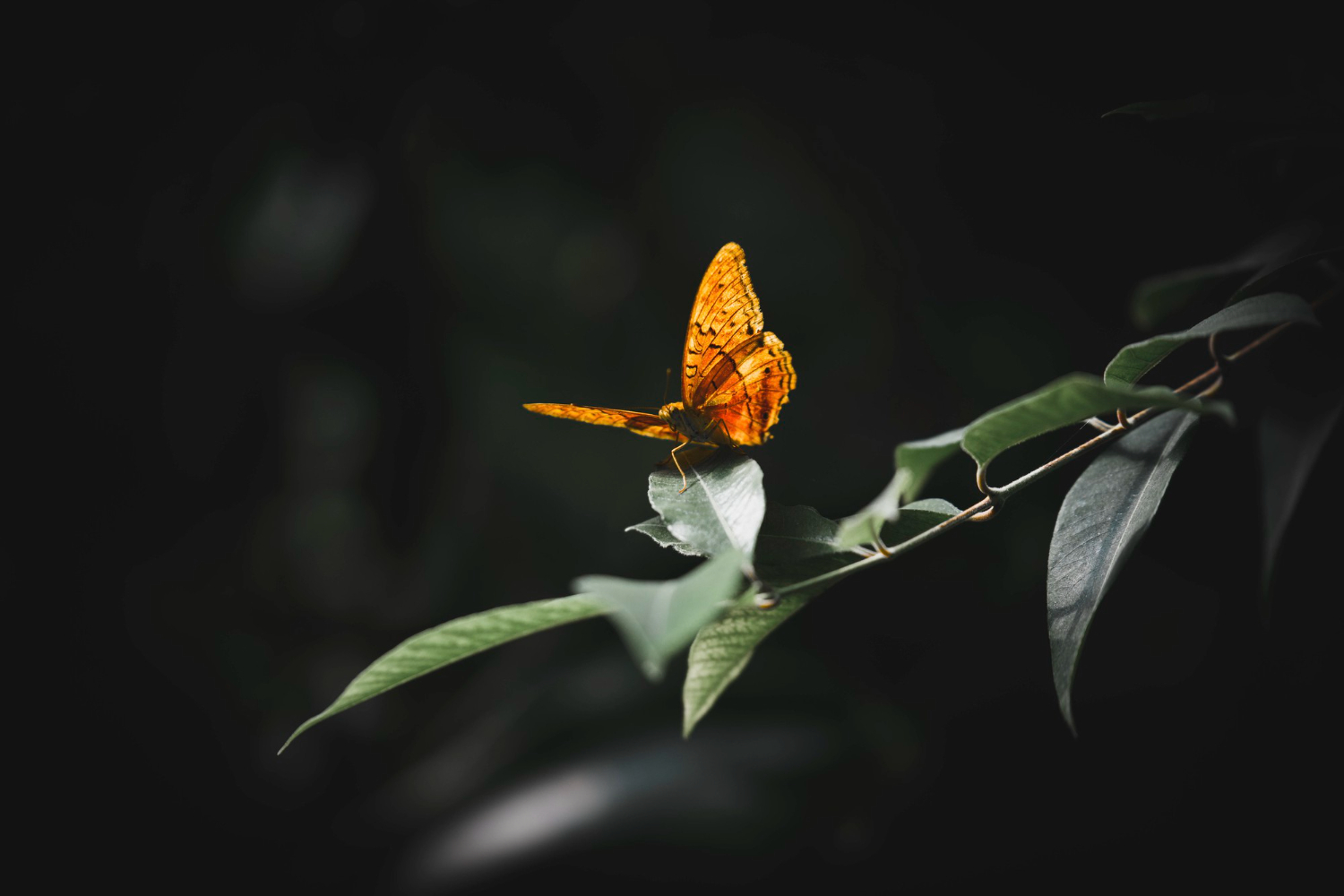 Quotes About Change