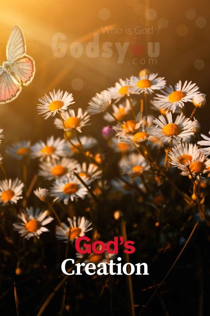 Gods plan